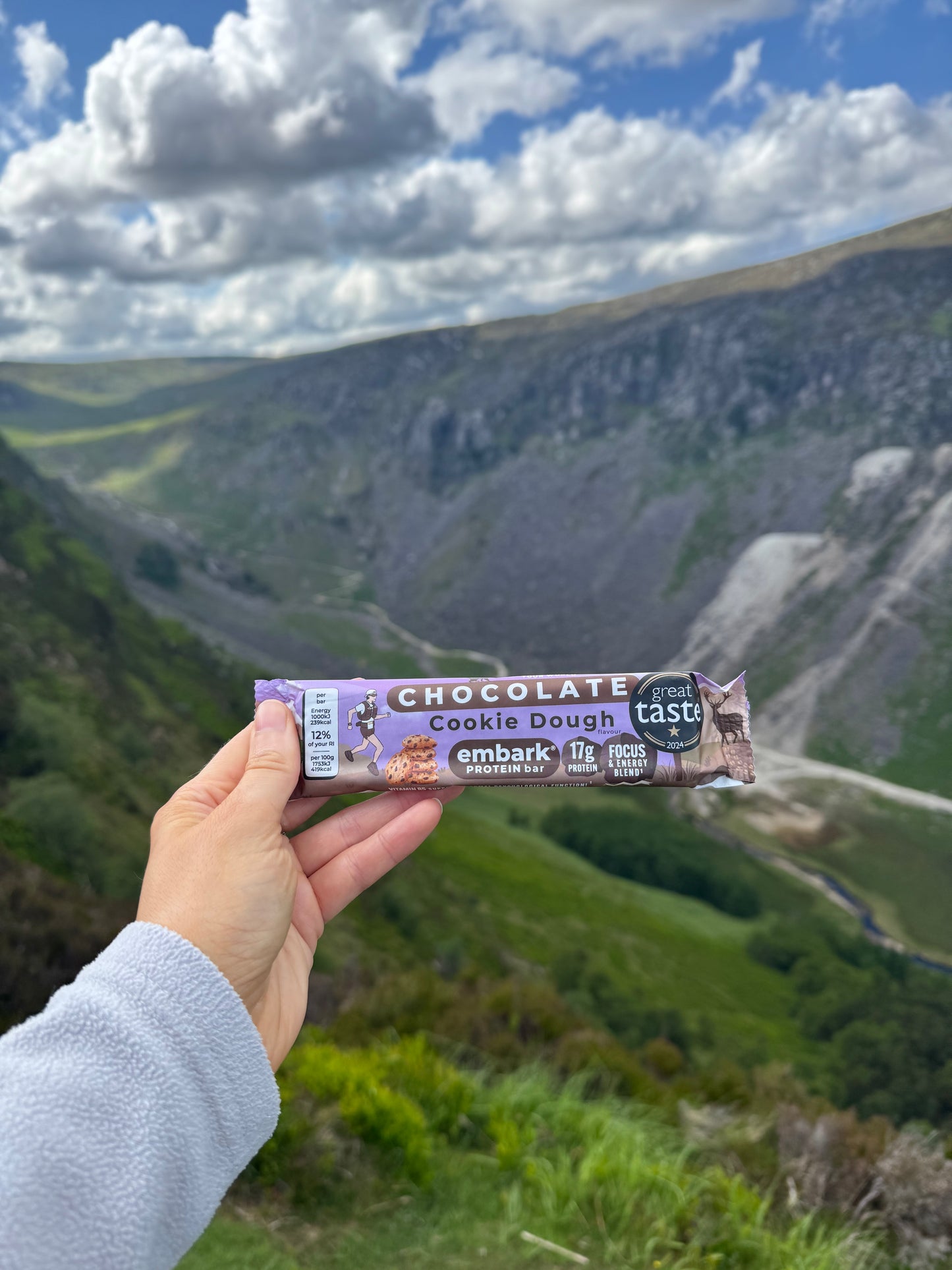 12 x Chocolate Cookie Dough Natural Protein Bars